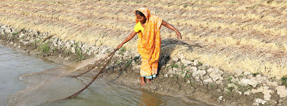 Empowering women in Bangladesh’s shrimp production sector